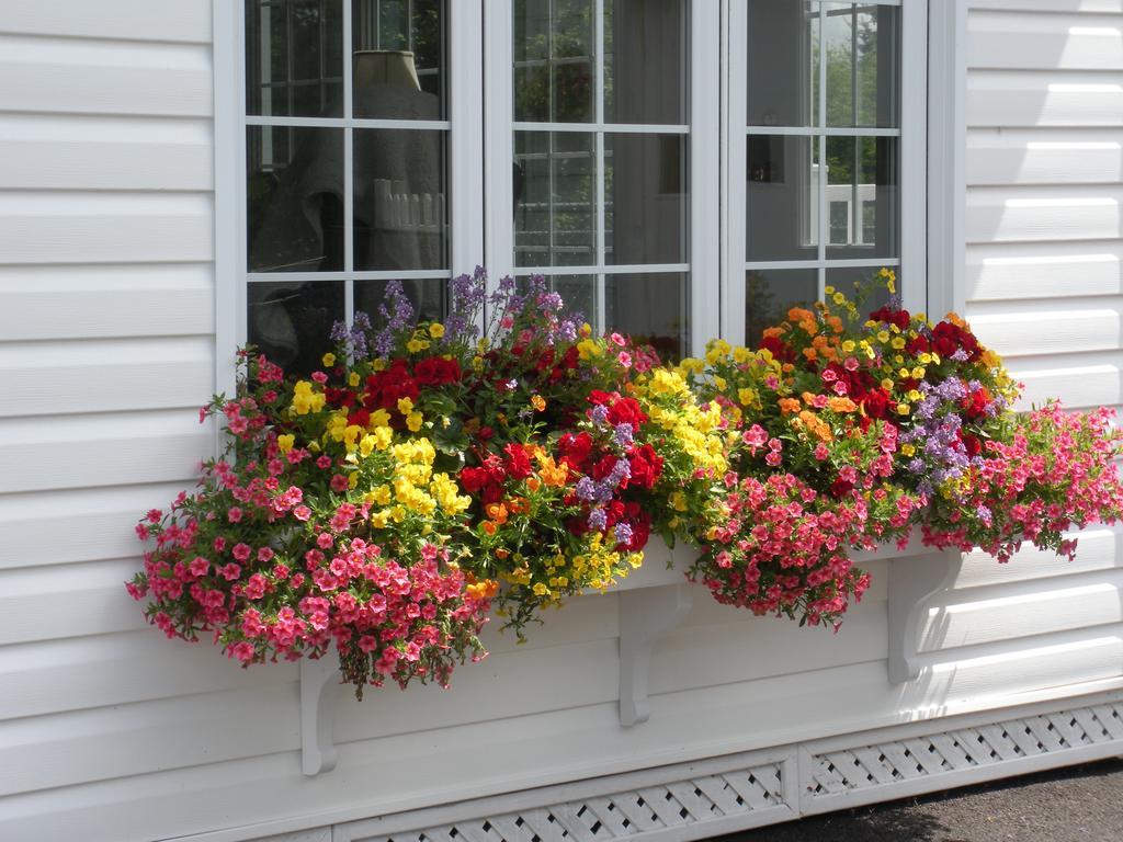 Cote'S Bed & Breakfast Grand Falls Exterior foto